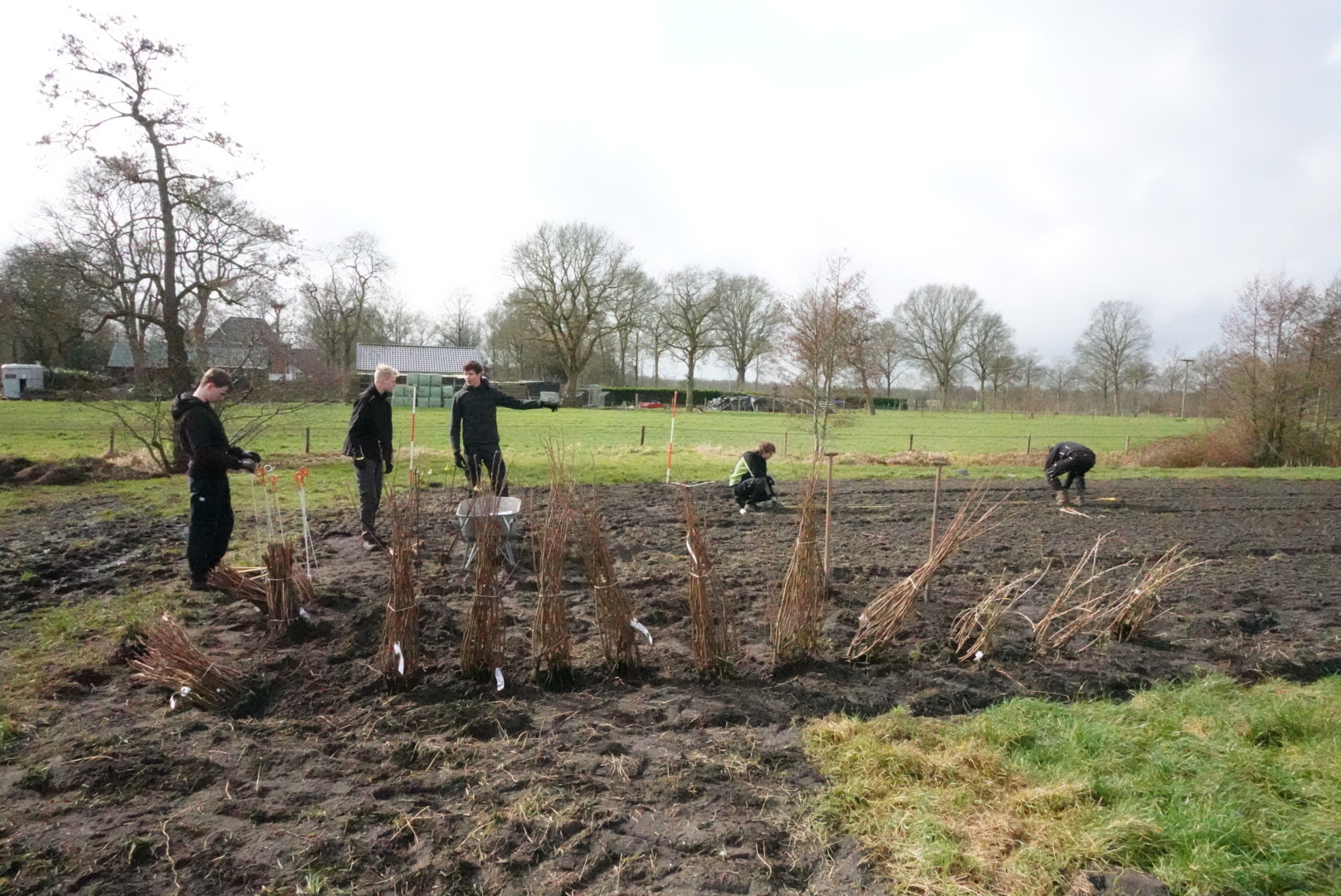 Plantdag Stichting Sociaal En Vitaal 2