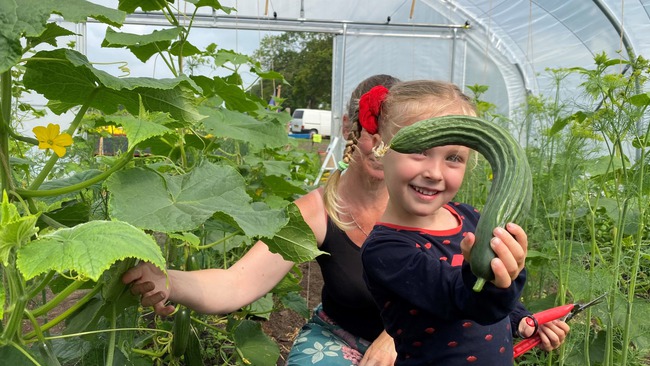 Het oogsten is begonnen!