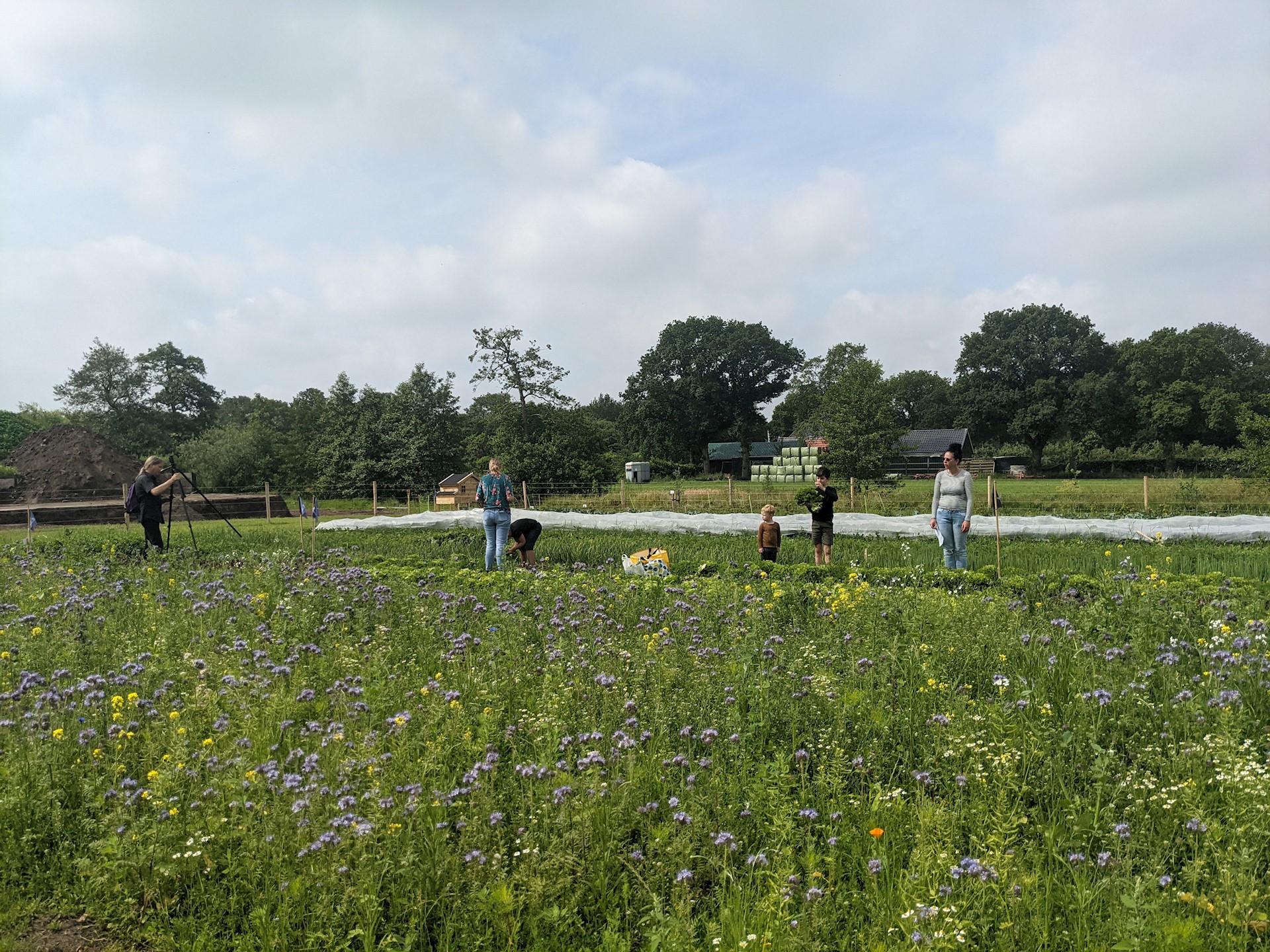 13 februari – Workshop ‘Ruimtelijke inpassing kleinschalige voedselinitiatieven’