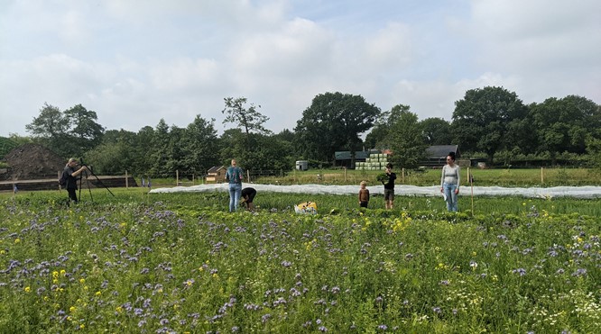 13 februari – Workshop ‘Ruimtelijke inpassing kleinschalige voedselinitiatieven’