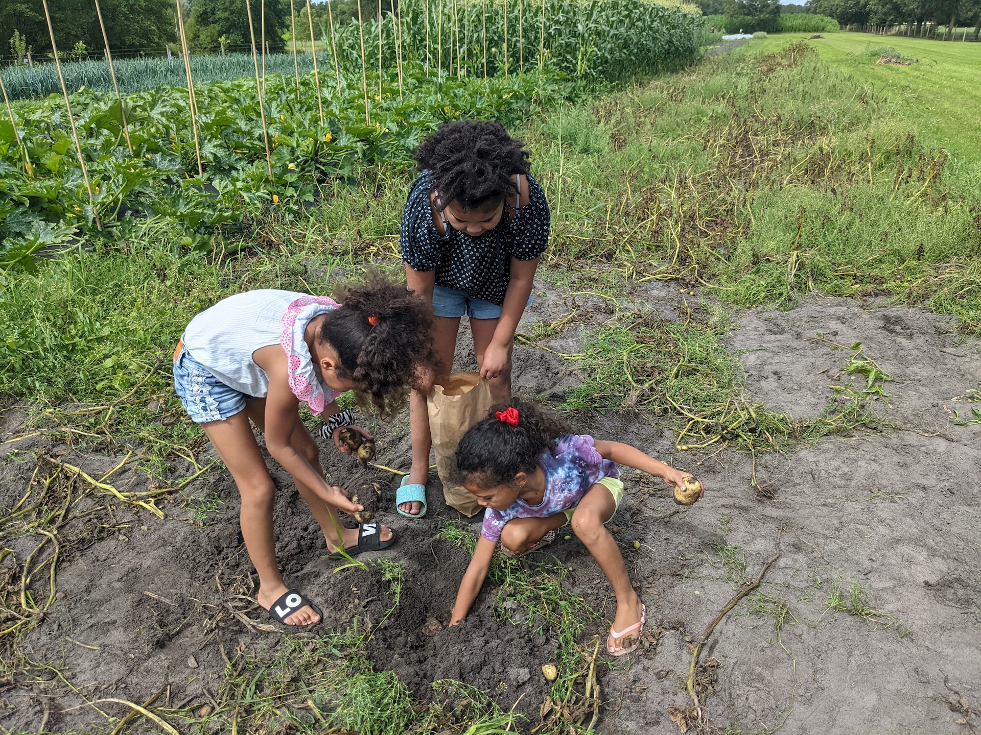 PXL 20210807 110631683 (2)