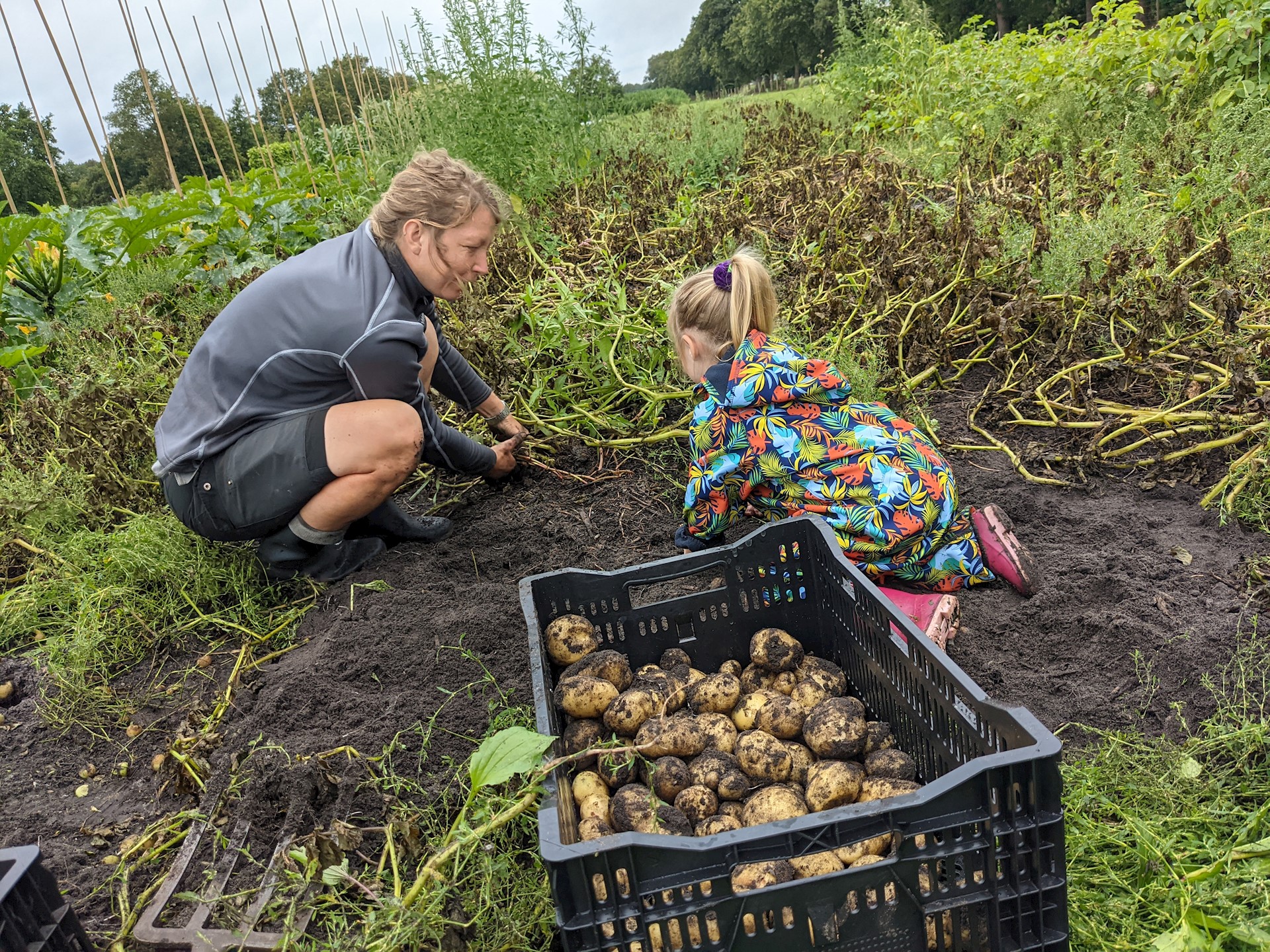 PXL 20210806 081643935.MP (1)