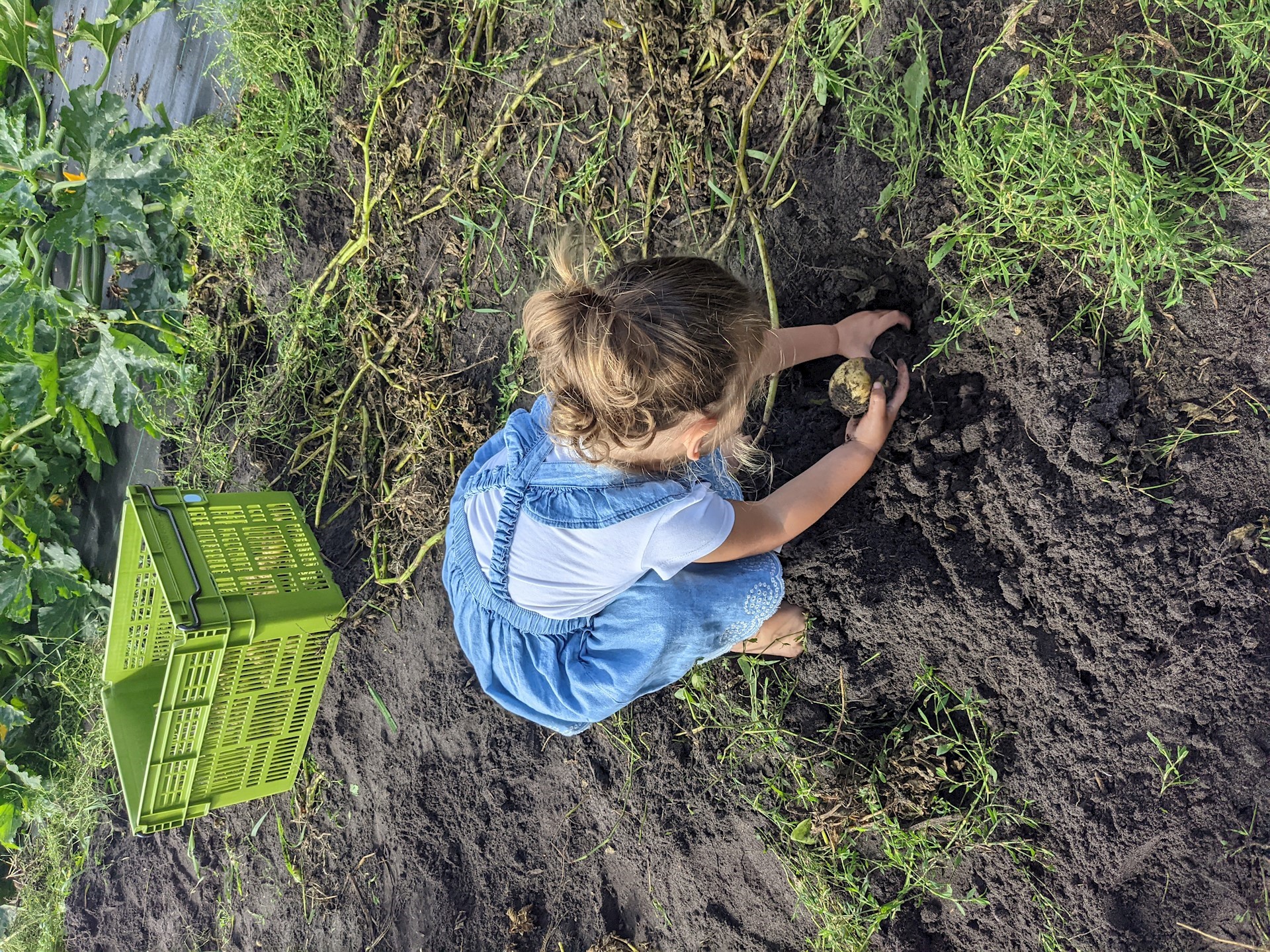 PXL 20210807 084833308.MP