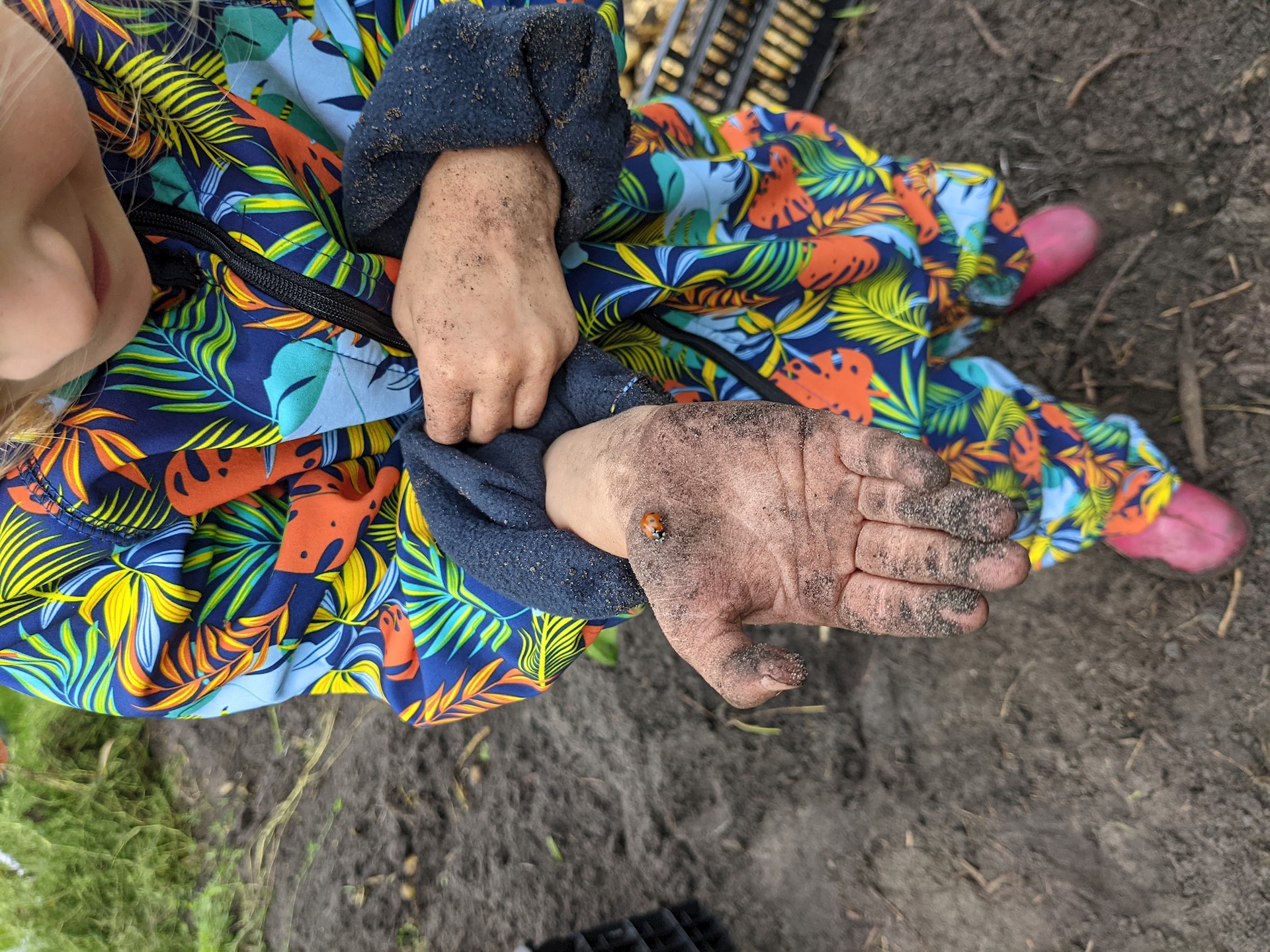 PXL 20210806 083622528