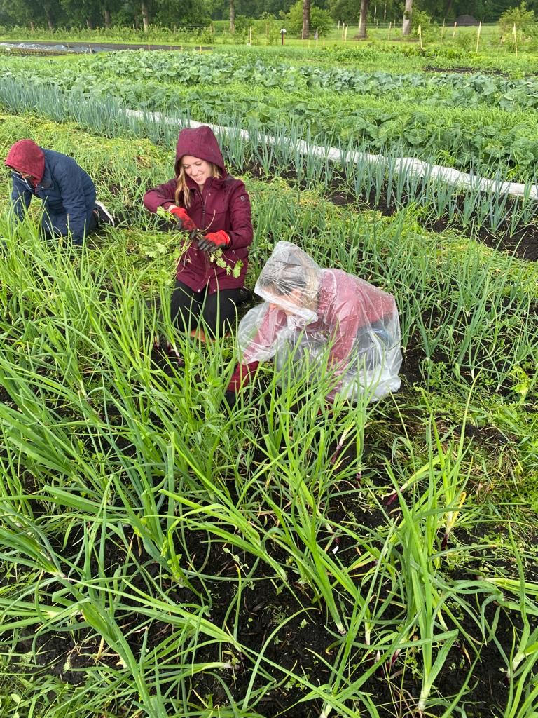 Whatsapp Image 2022 06 08 At 5.13.22 PM