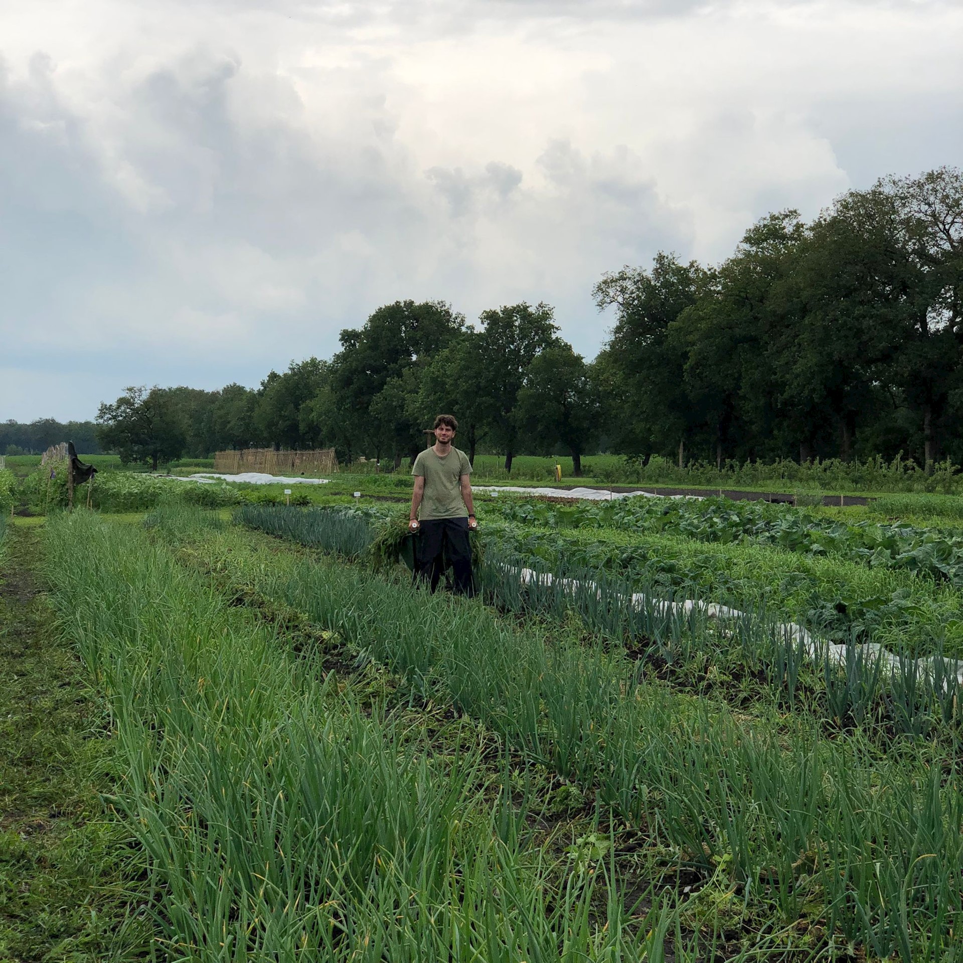 Whatsapp Image 2022 06 08 At 5.13.24 PM 2