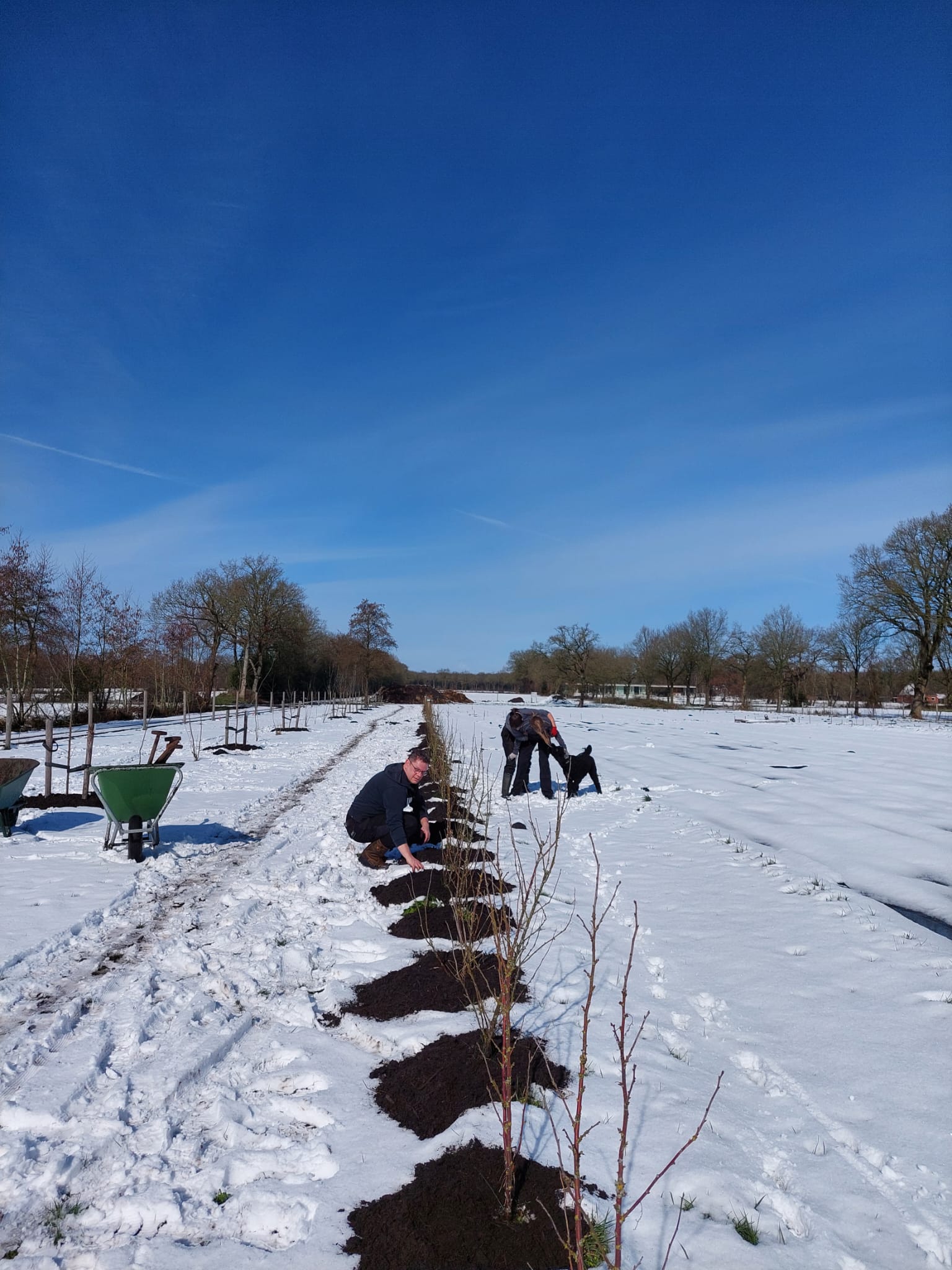 Whatsapp Image 2023 03 11 At 16.17.24 2