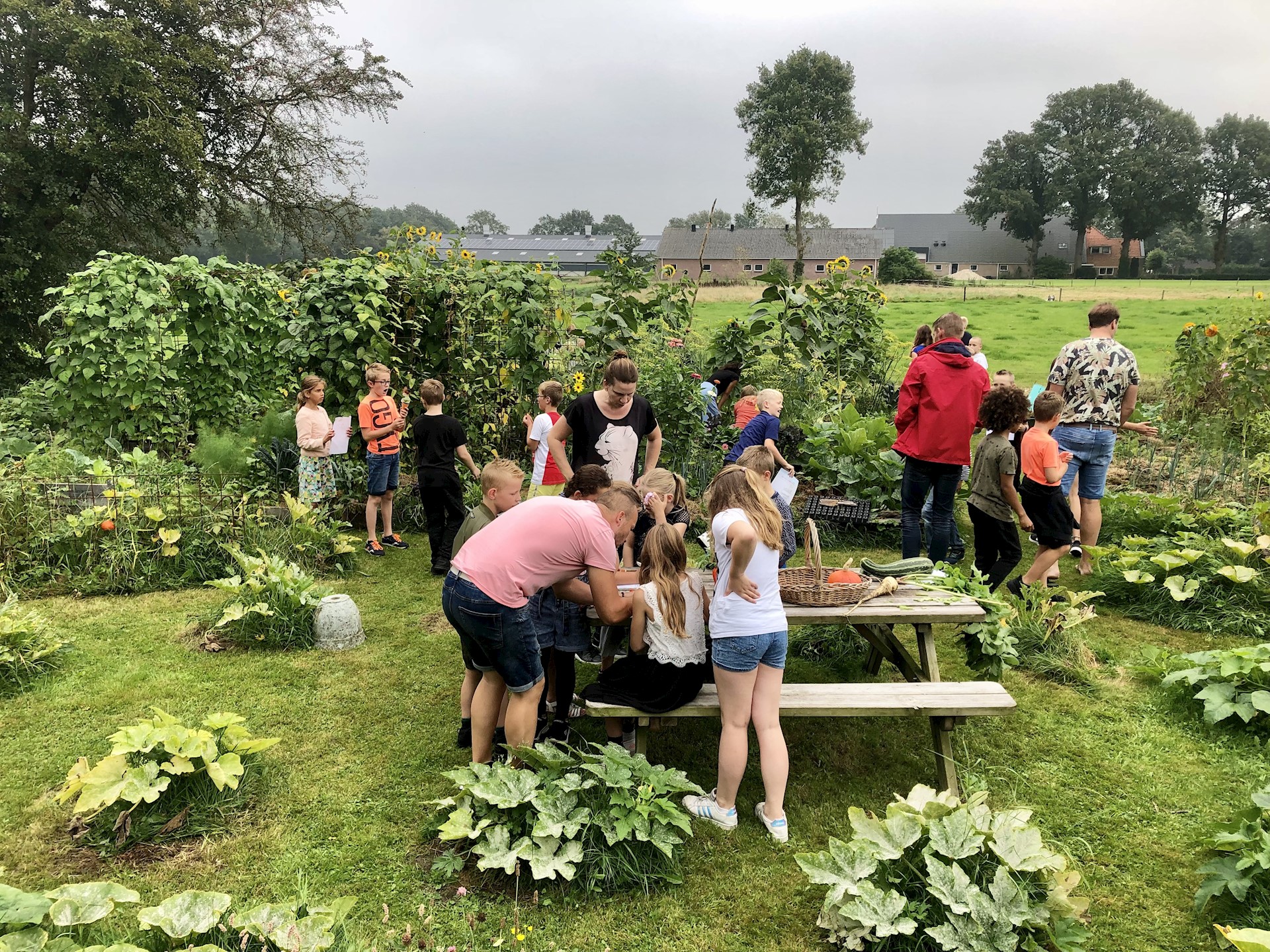 Informatiemiddag Sociale Voedseltuinen
