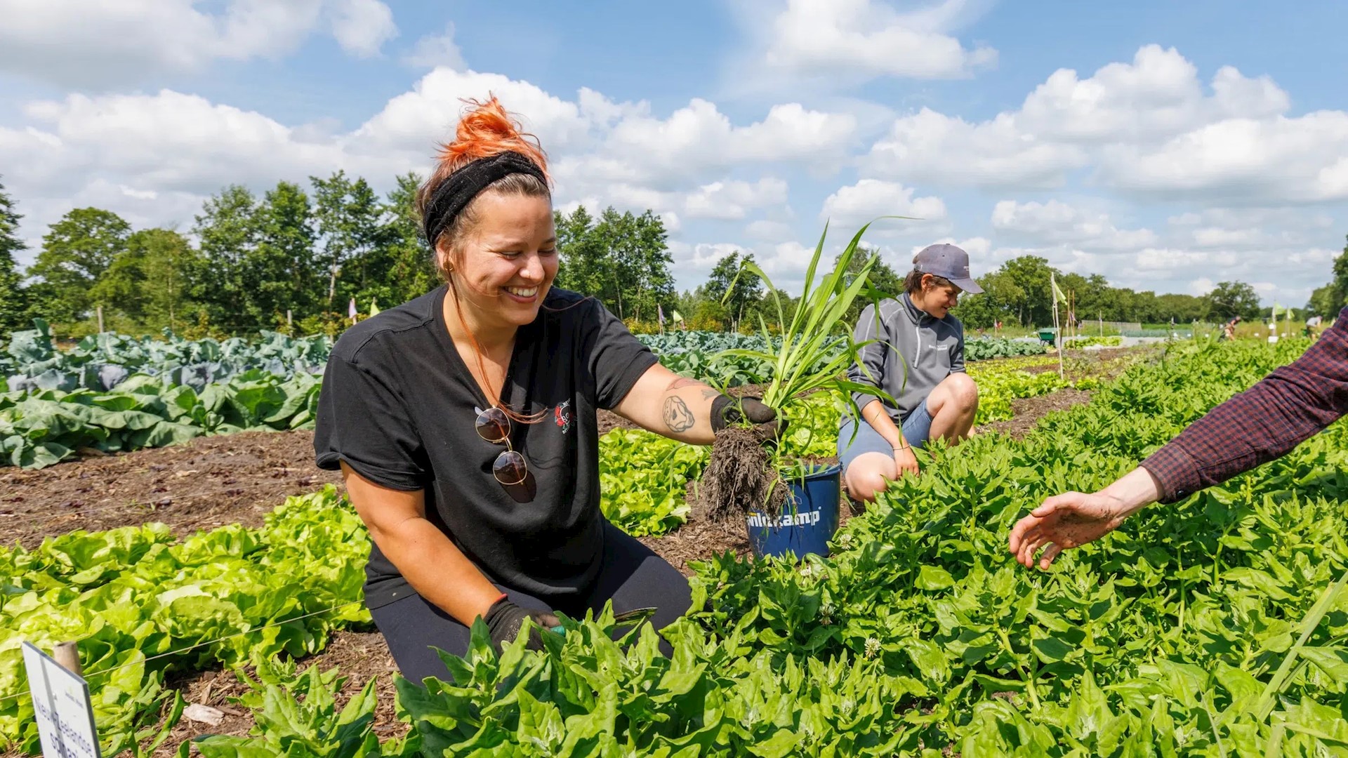 Vrijwilliger In De Oogsttuin