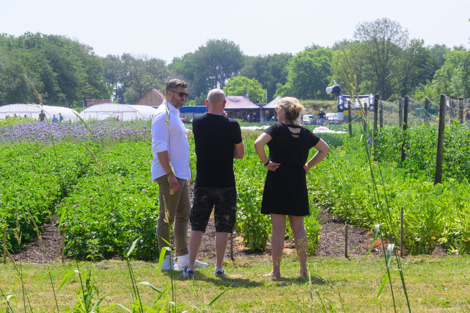 Realisatie 3e sociale zelfoogsttuin in Fryslân