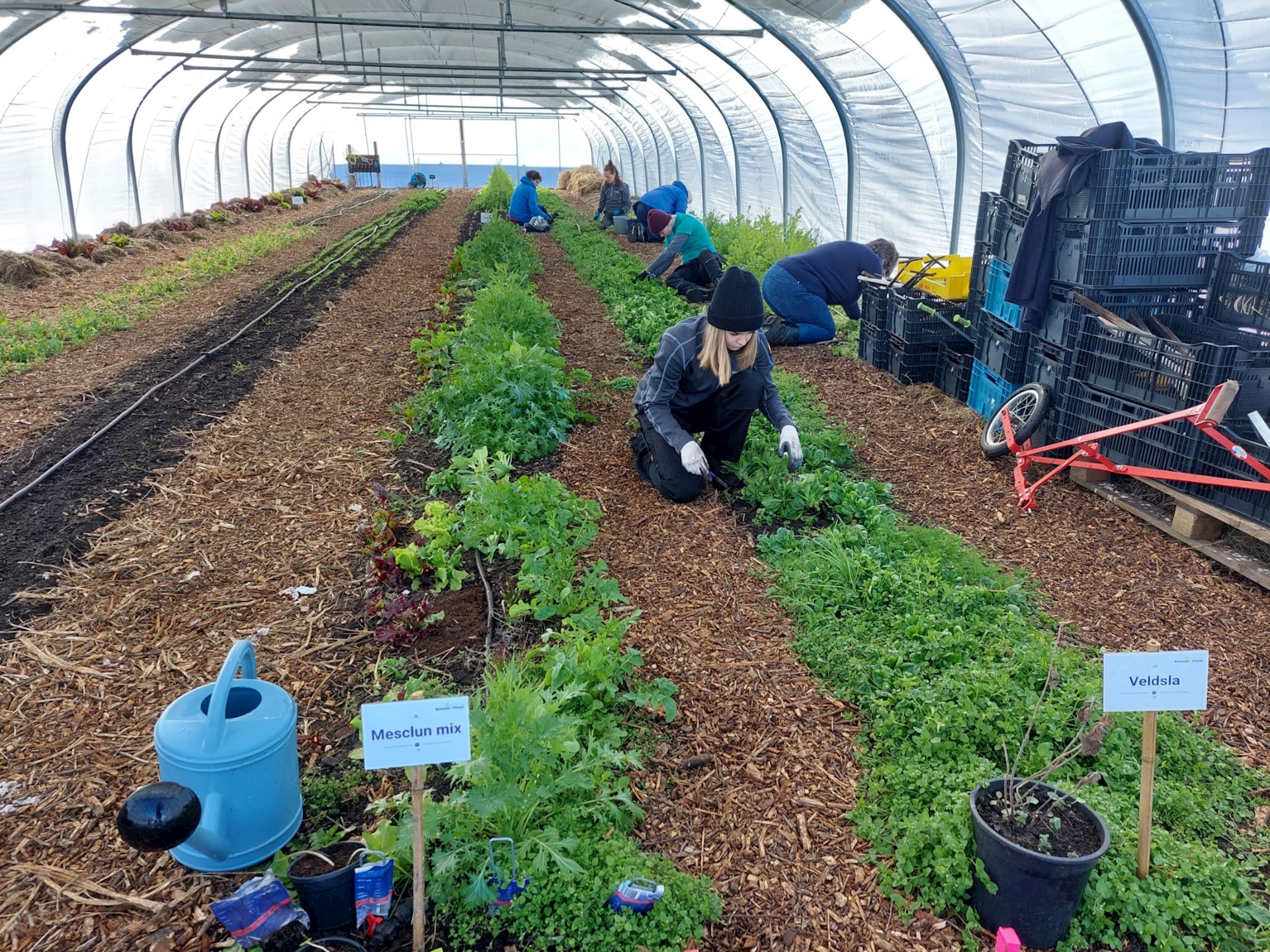 Voorjaarsfestuin 16 maart met NL Doet